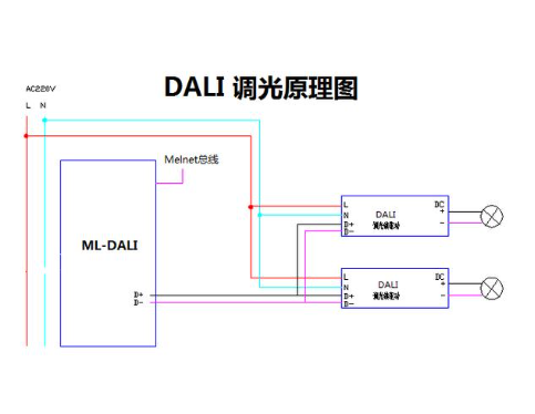 dali{(dio)ԭ.png